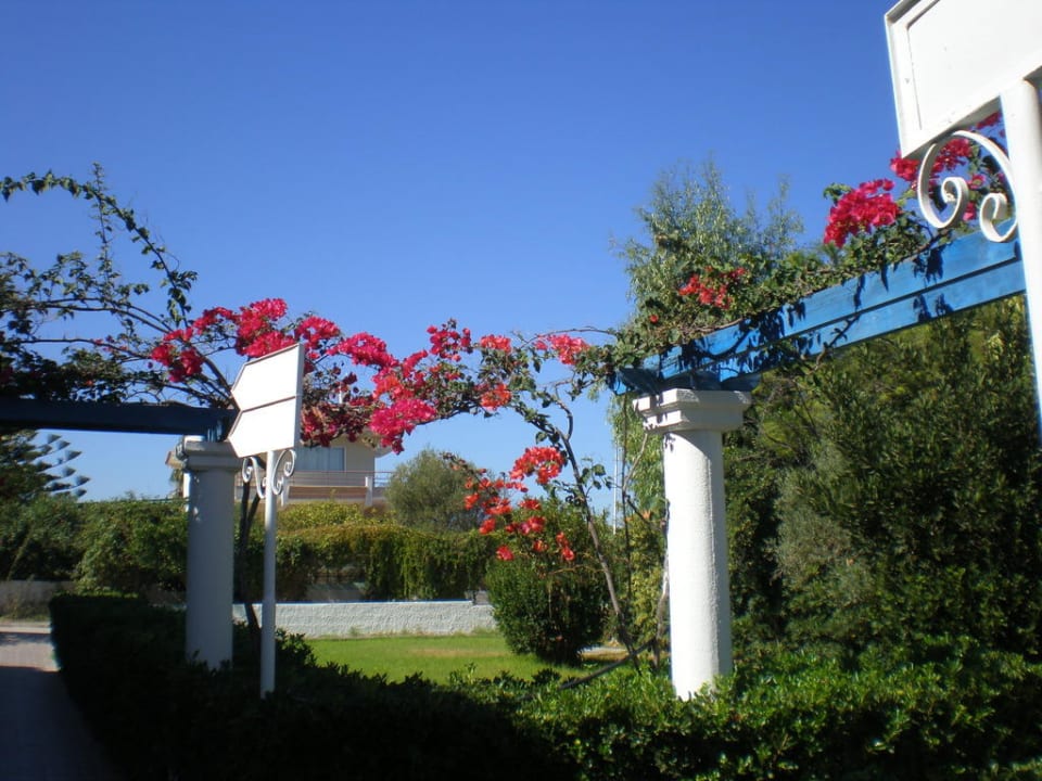 Alejka wśród zieleni Hotel Filerimos Village