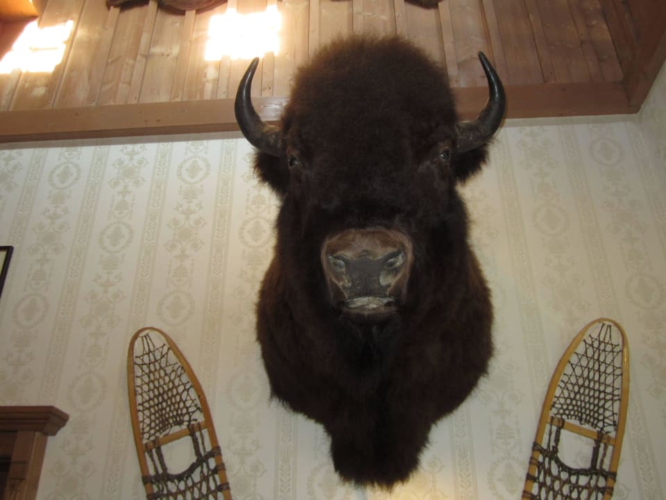 An der Rezeption Tipi Town Europa-Park