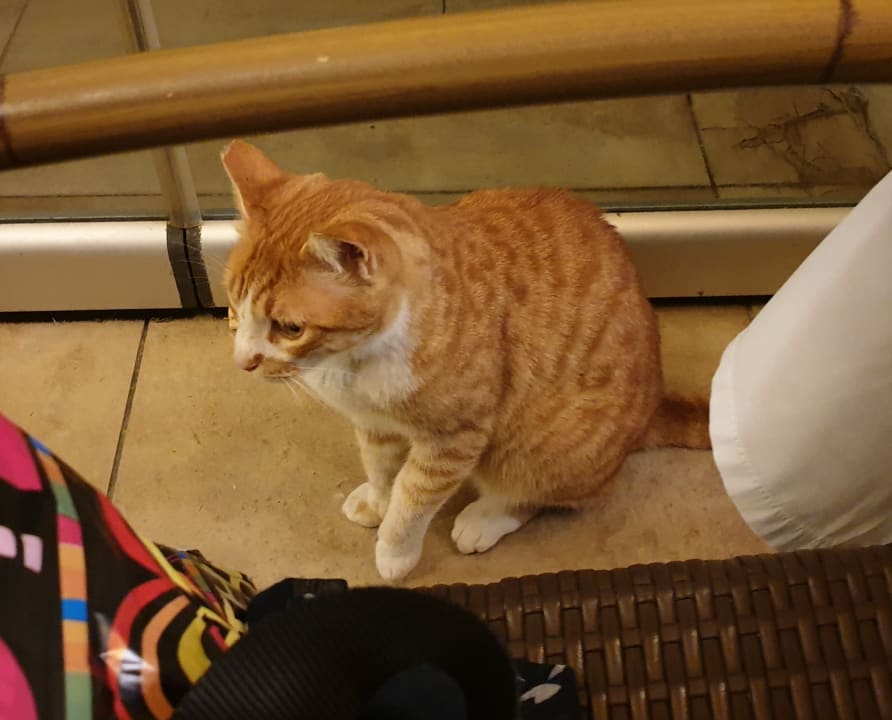 Sonstiges Sunis Evren Beach Resort Hotel & Spa