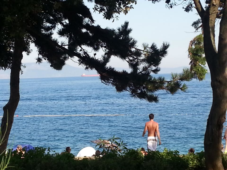 Blick von der Liegewiese auf's Meer Valamar Sanfior Hotel & Casa