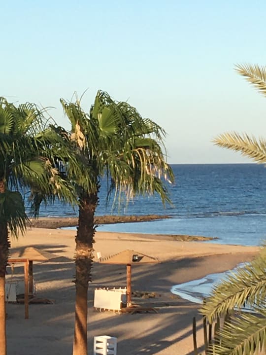 Strand Shams Prestige Abu Soma-Adults Only