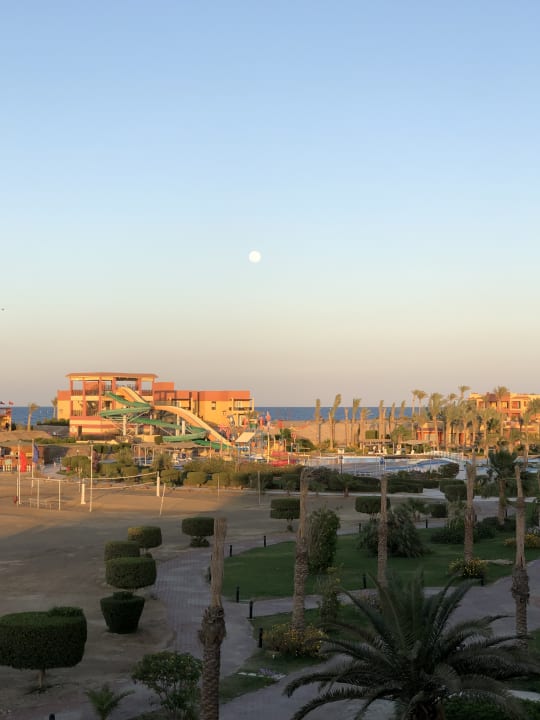 Ausblick Malikia Resort Abu Dabbab
