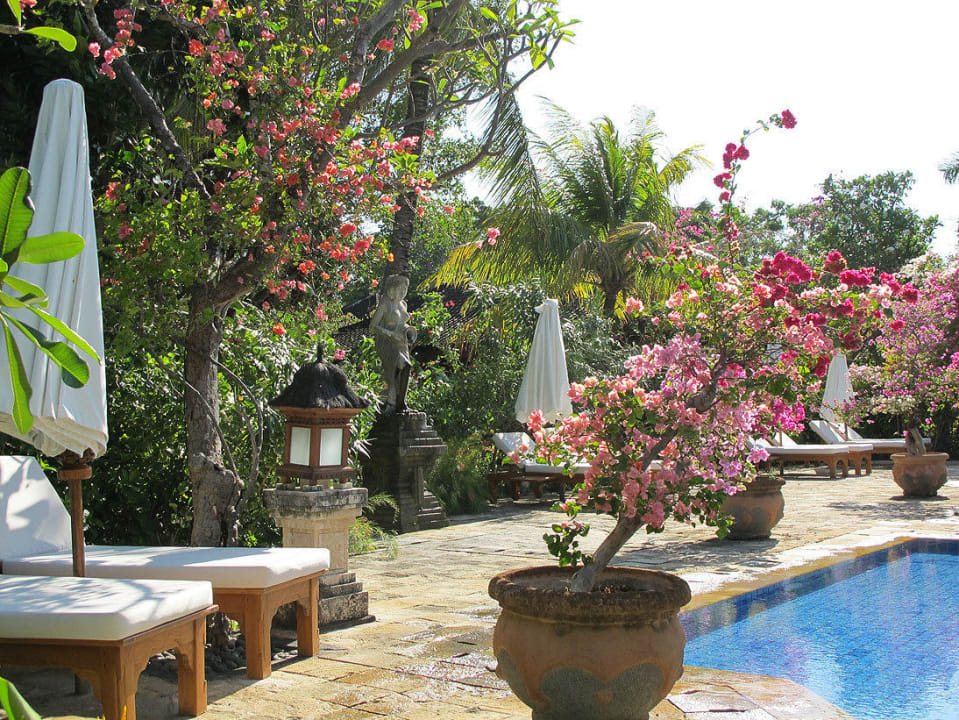 Am Pool Hotel Matahari Beach Resort & Spa