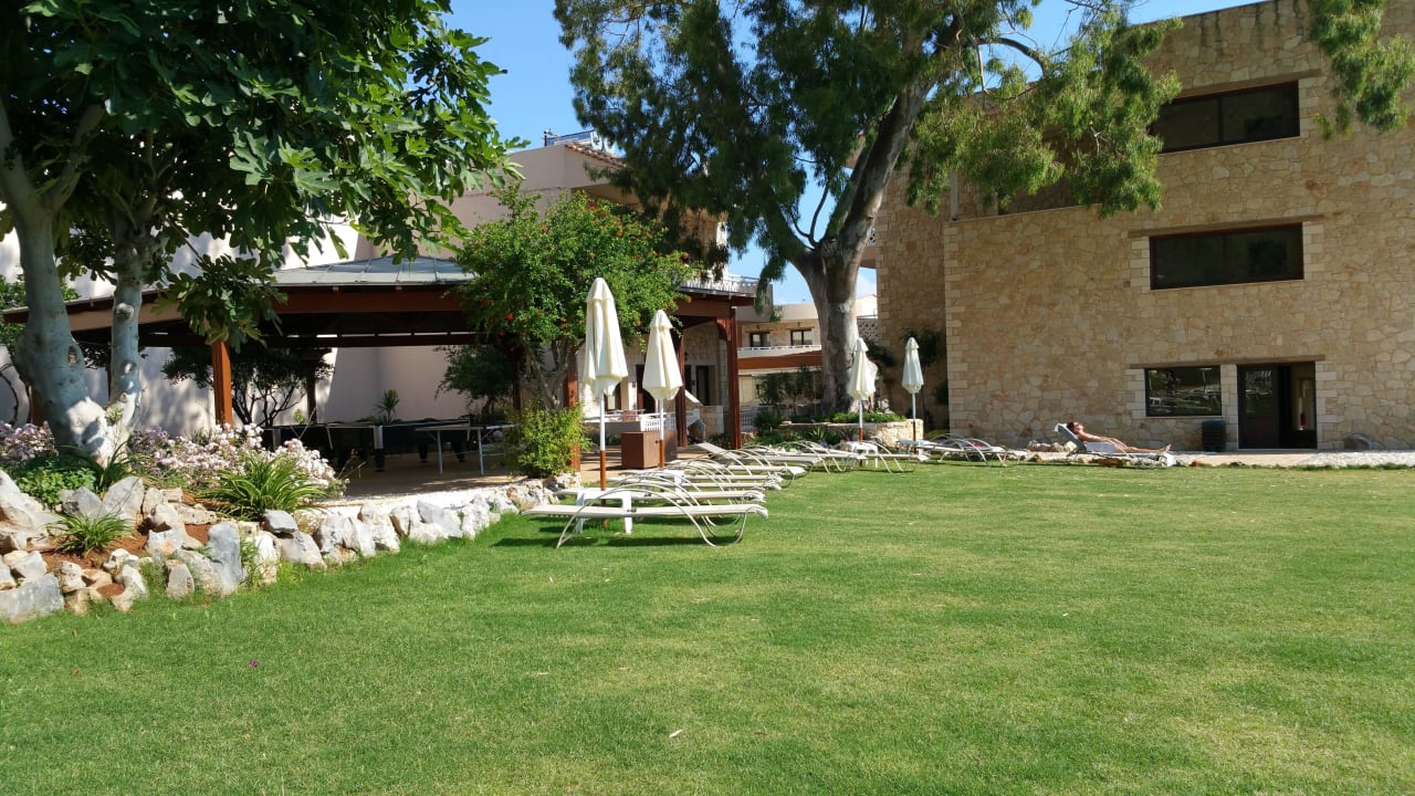 Liegewiese Cactus Royal