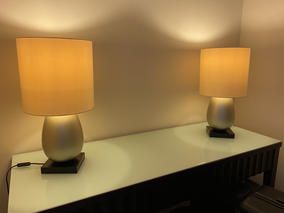 Zimmer Arum Barut Collection
