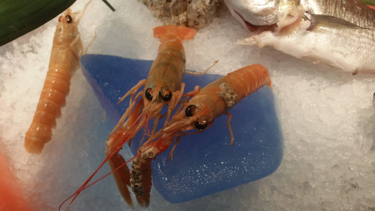 Büffet Hotel Parentium Plava Laguna