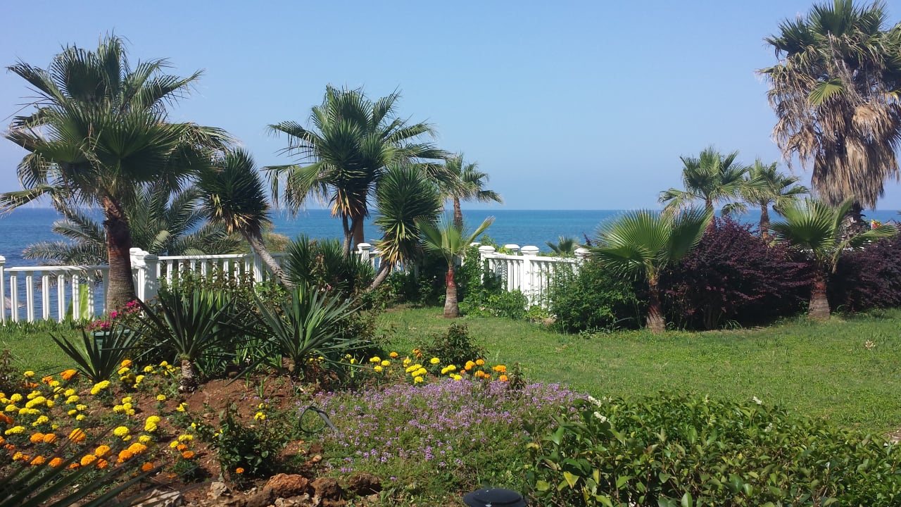 Ausblick Flora Garden Beach Hotel ( 16+ Adults Only )