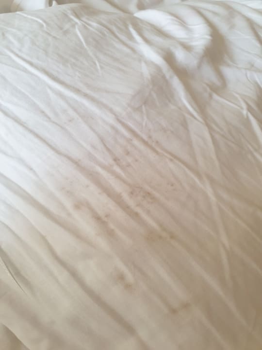 Zimmer Hotel Puente Real