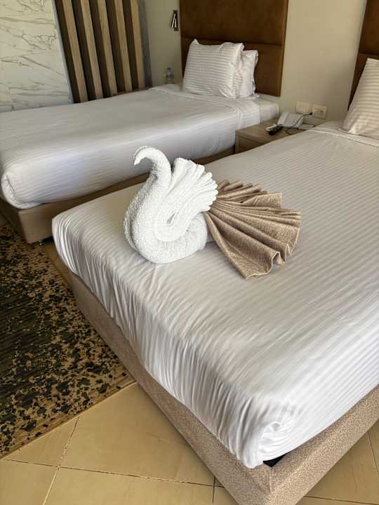 Zimmer Titanic Royal