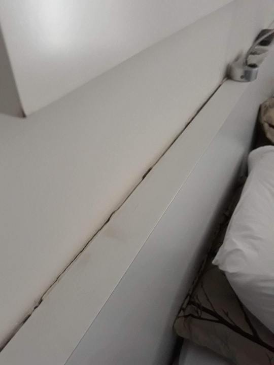 Zimmer Side Miami Beach