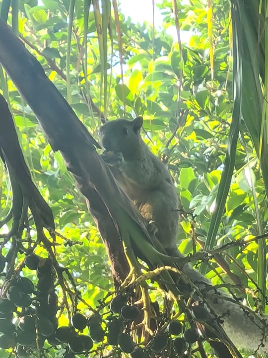 Gartenanlage Hoang Ngoc Hotel