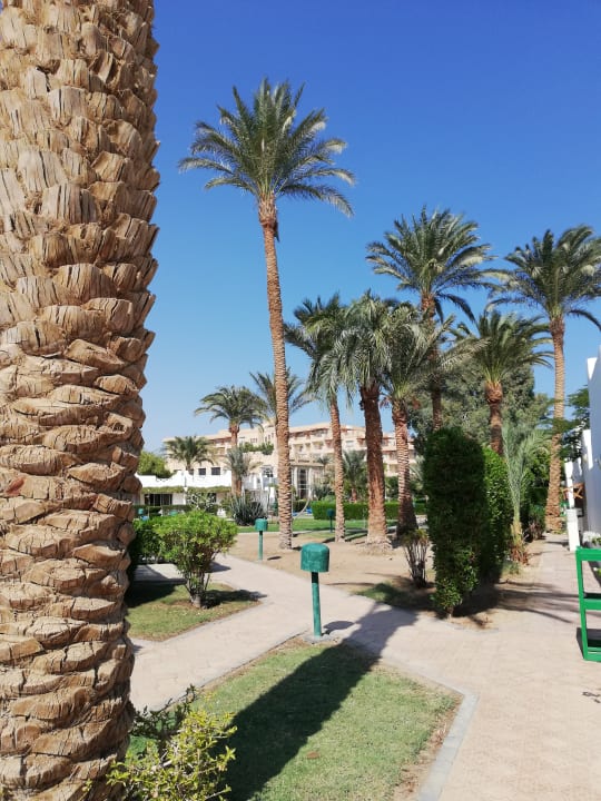 Gartenanlage Shams Safaga Resort