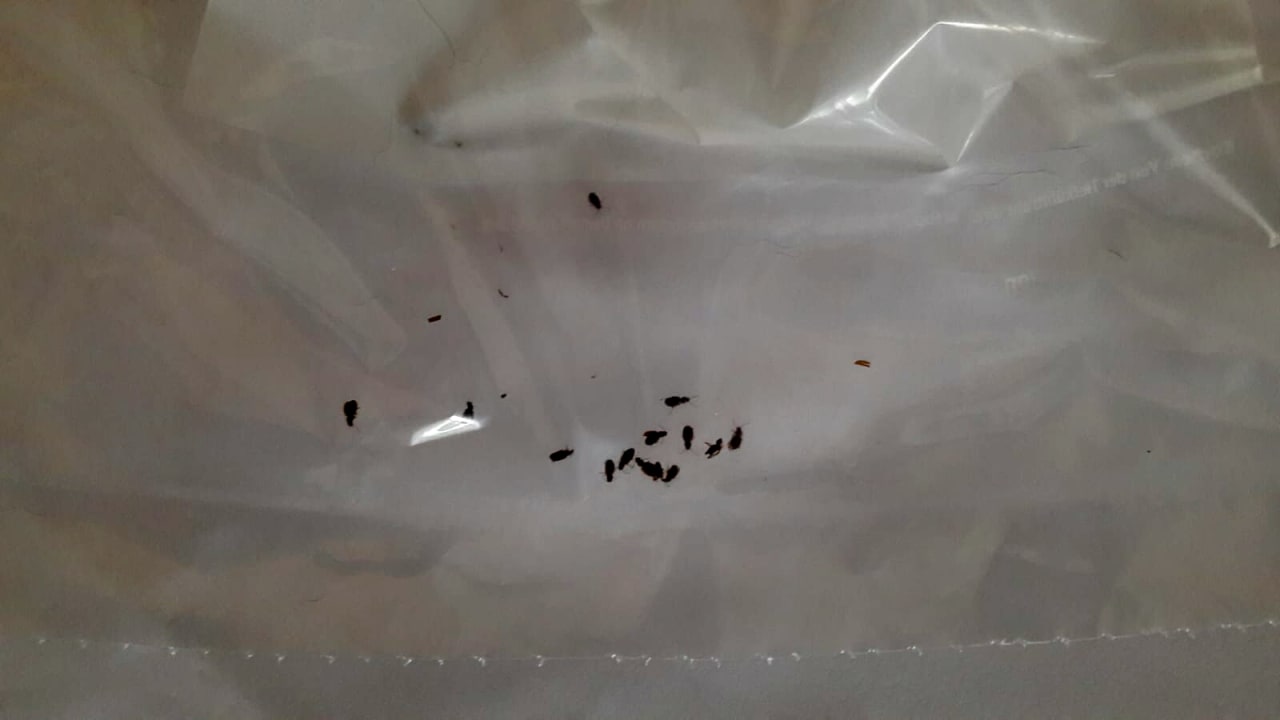 Zimmer Vital- und Wellnesshotel Albblick