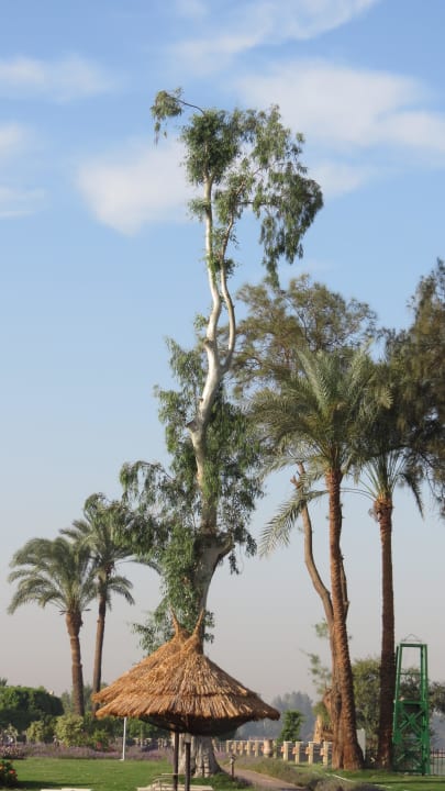 Vielseitige Grünanlagen Jolie Ville Kings Island Luxor