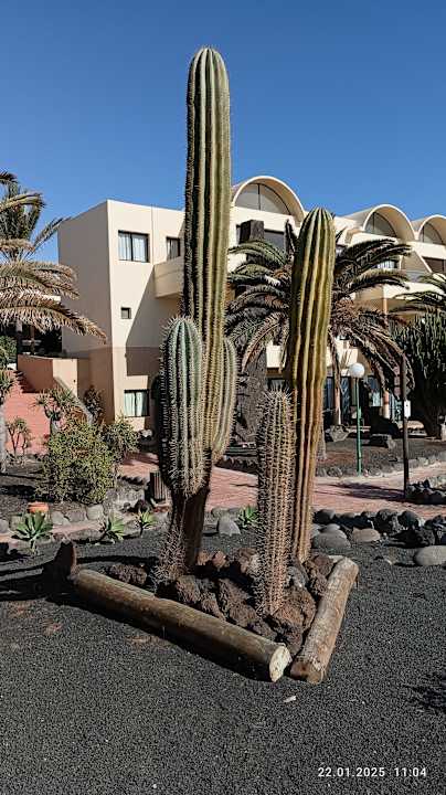 Gartenanlage SBH Hotel Royal Monica
