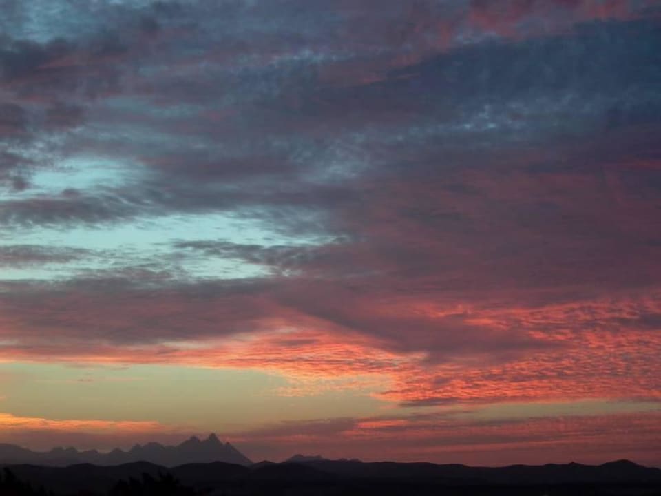 Westen Hotel Coral Garden