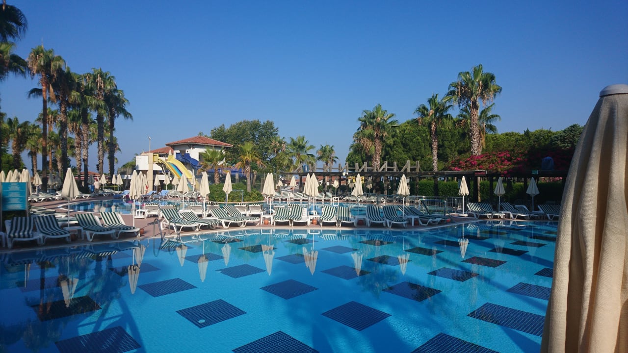 Pool Trendy Palm Beach (Adults Only, 16+)