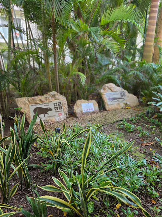 Gartenanlage Viva Azteca by Wyndham - All Inclusive Resort