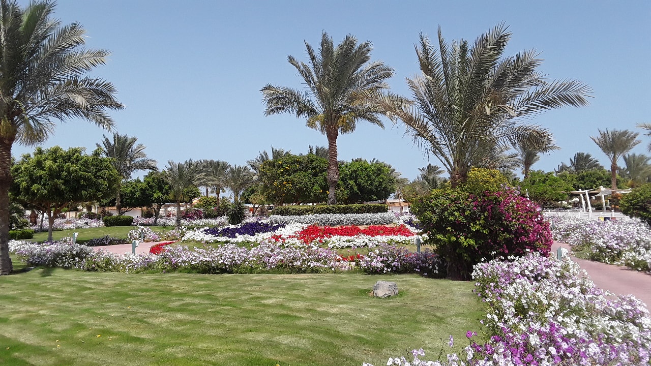 Gartenanlage Desert Rose
