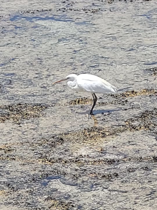 Strand Pickalbatros Villaggio Resort - Portofino