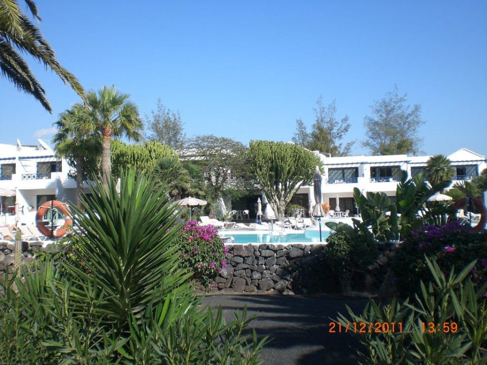 Pool bei den Apartments Relaxia Olivina