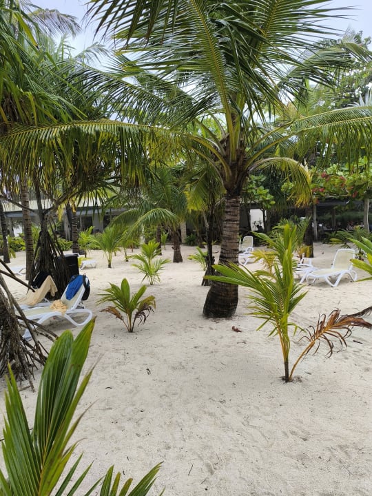 Strand Hotel Riu Jambo