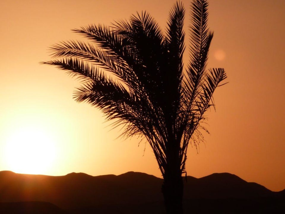 Sonnenuntergang TUI MAGIC LIFE Kalawy