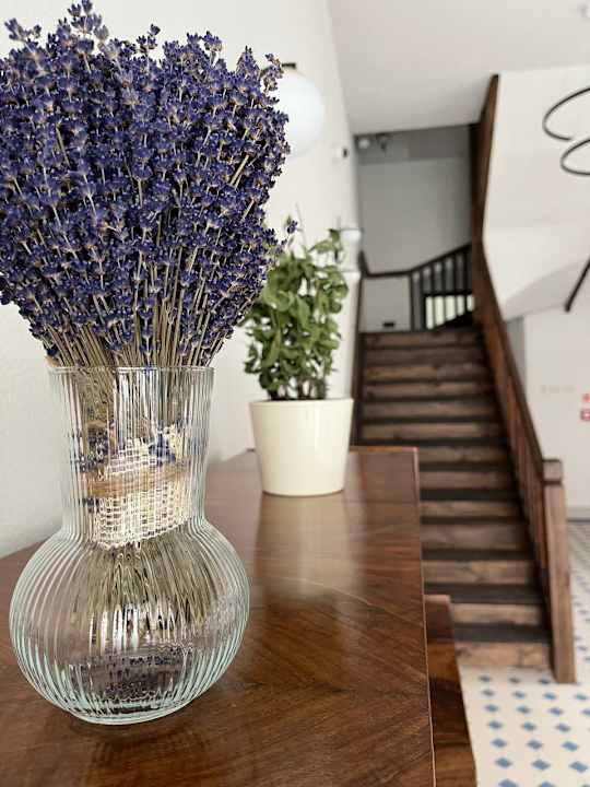 Lobby Herbal Hotel Wrocław