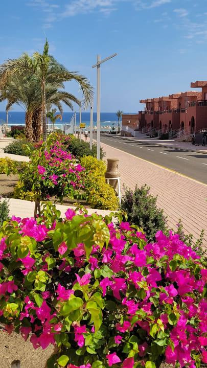 Gartenanlage Pickalbatros Villaggio Resort - Portofino