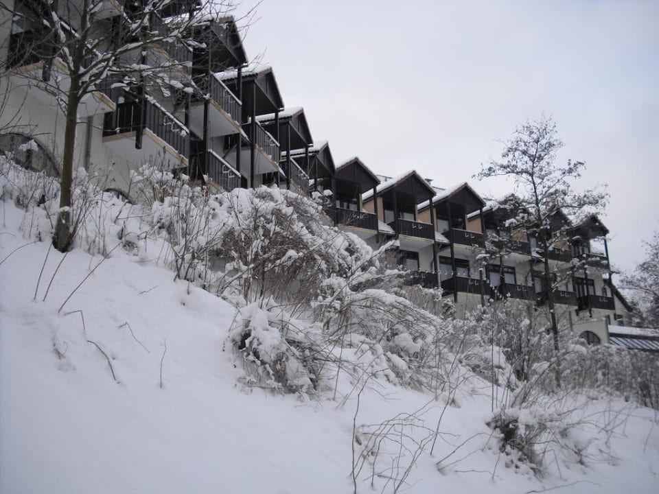 Das Hotel Göbel's Seehotel Diemelsee