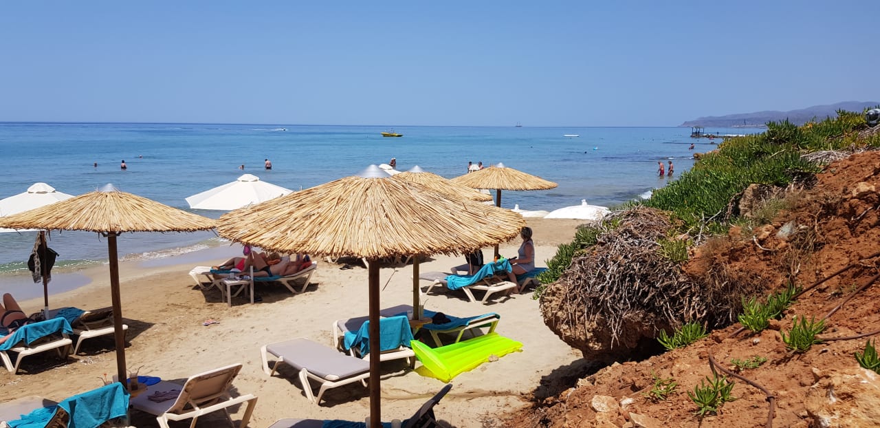 Strand Cactus Mare - Adults only