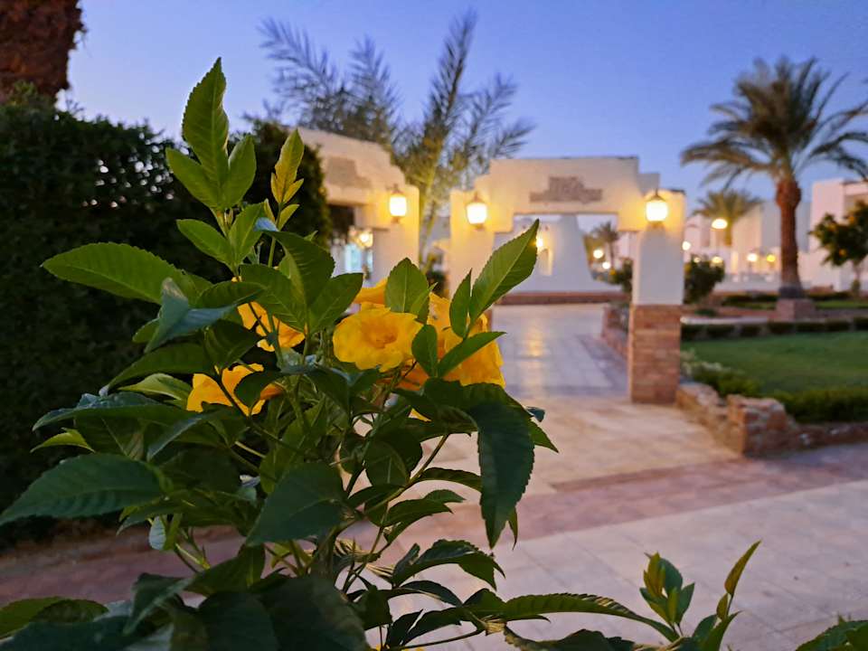 Gartenanlage Menaville Safaga