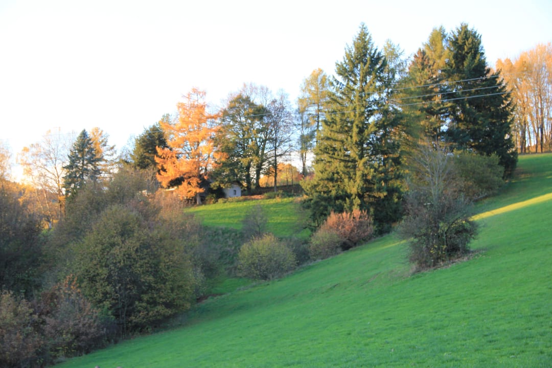 Aussicht von Zimmer 308 Hotel Bayerischer Wald