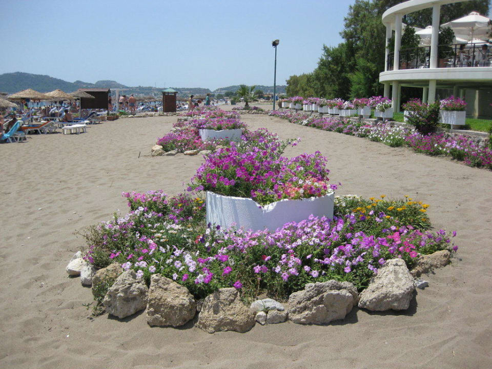 Strand Hotel Calypso Beach