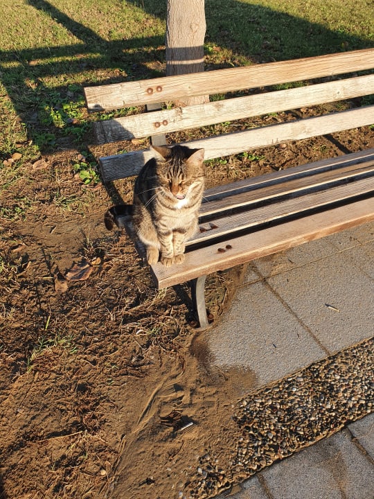 Sonstiges Sunis Evren Beach Resort Hotel & Spa