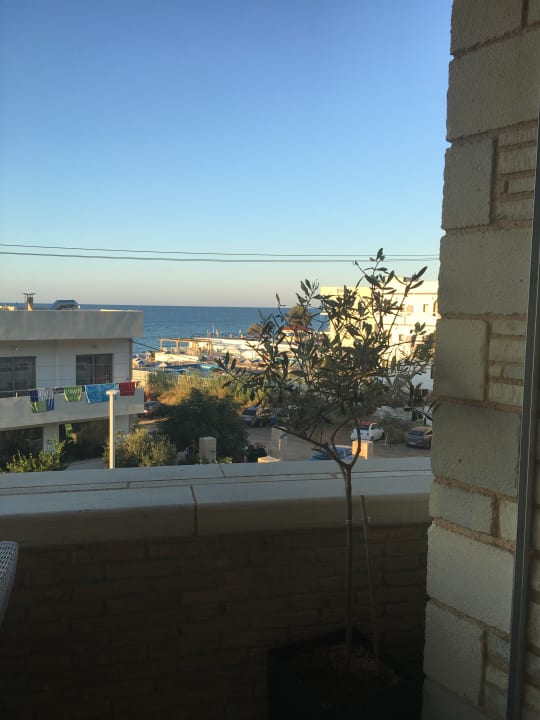 Ausblick Cactus Royal