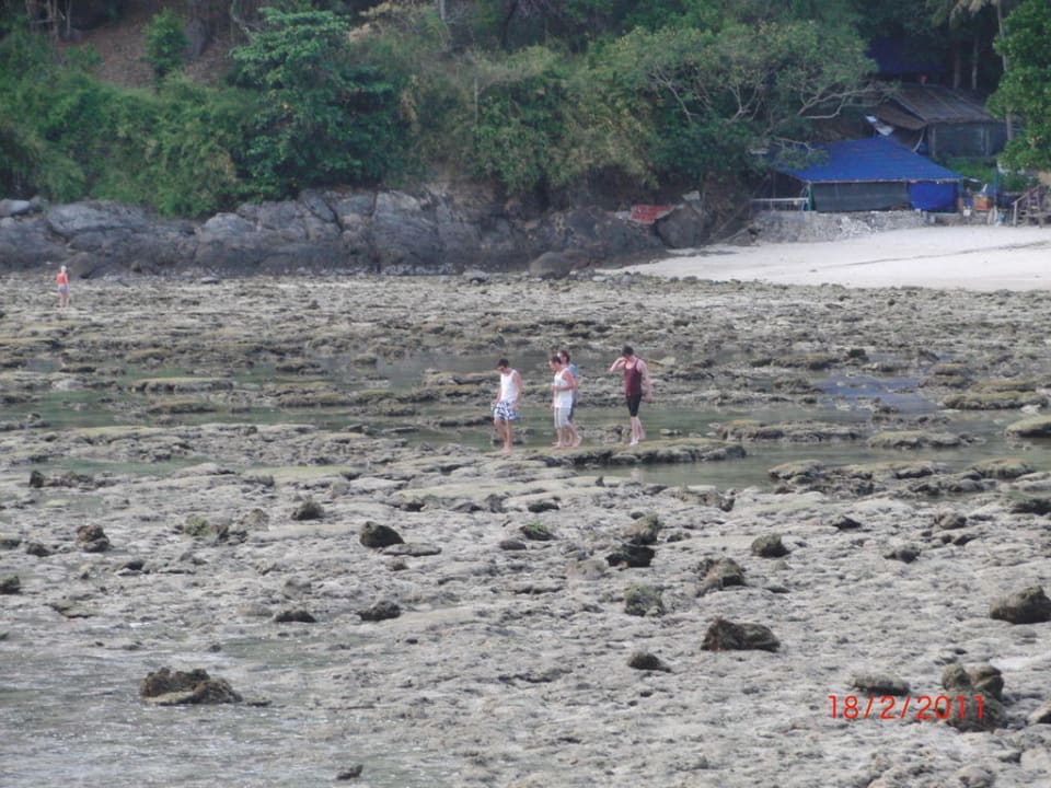 Strand bei Ebbe Phuket Marriott Resort & Spa Merlin Beach