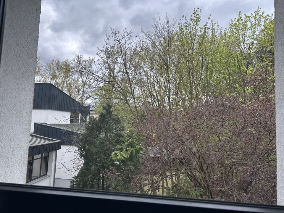Ausblick Jugendherberge Köln Riehl