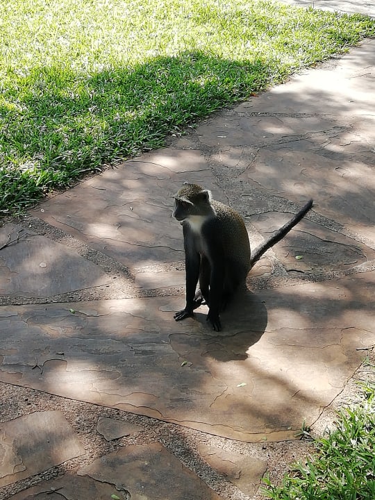 Sonstiges Neptune Village Beach Resort & Spa