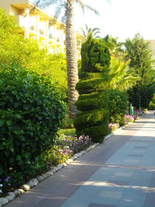 Viele schöne Pflanzen Belek Beach Resort Hotel