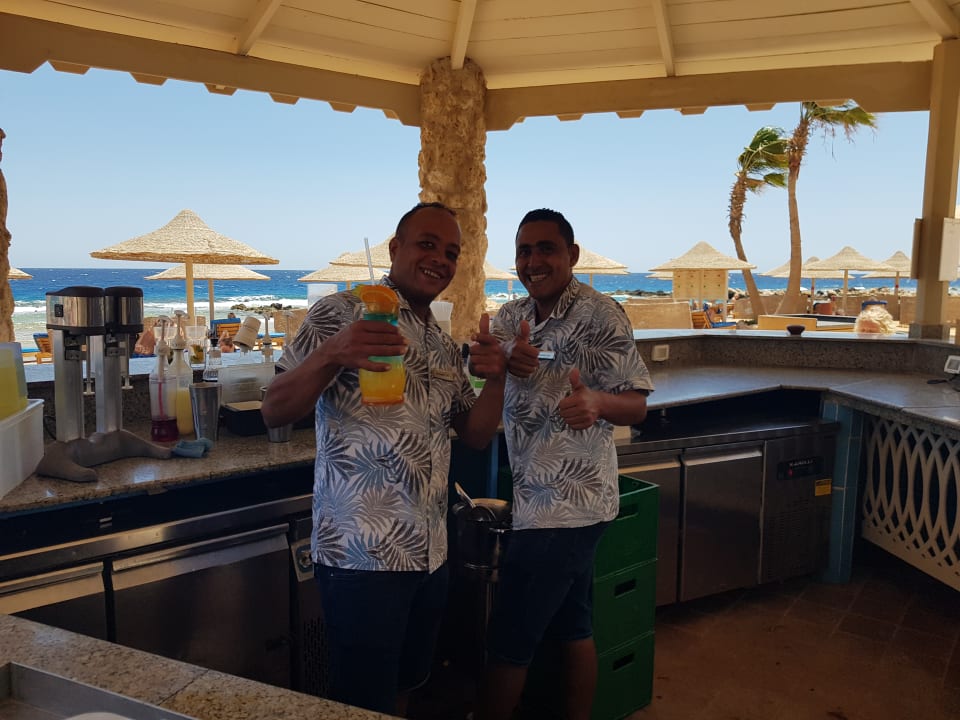 Gastro Pickalbatros Citadel Resort