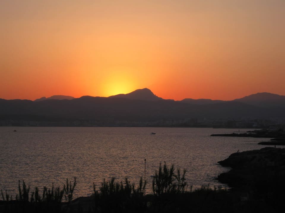 View from balcony AluaSoul Palma