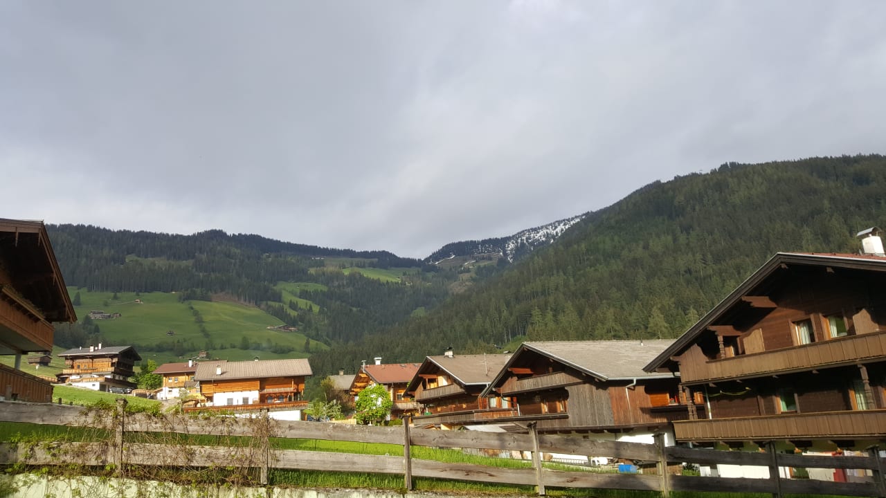Ausblick Hotel Alphof Alpbach