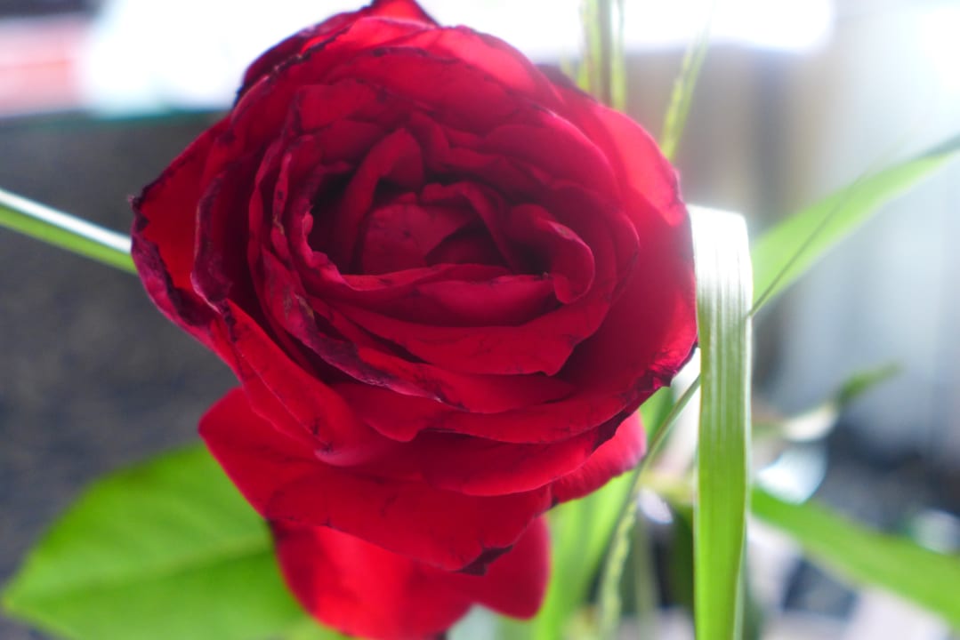 Sonstiges Hotel Heidpark Lüneburg