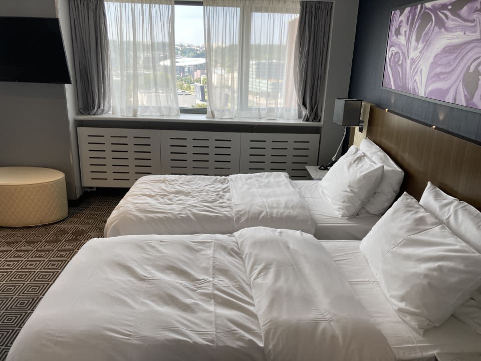 Zimmer Hotel Radisson Blu Lietuva