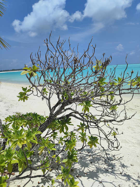 Strand Villa Park Sun Island