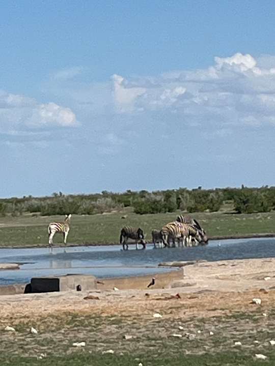 Gartenanlage Olifantsrus Camp