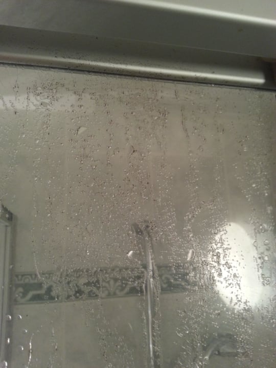 Schwarz Schimmel Trihotel Rostock