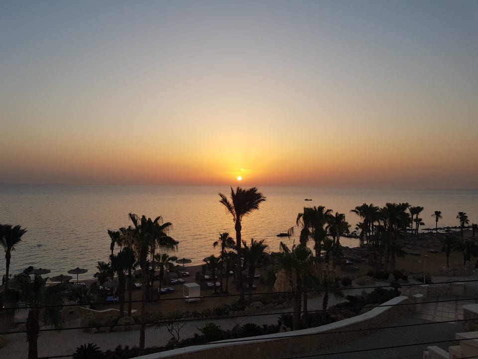 Ausblick Pickalbatros Citadel Resort