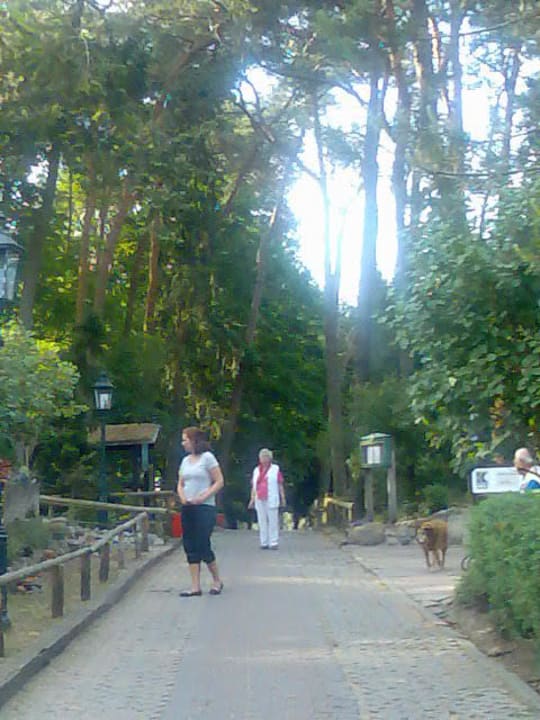 Pfaue, Papageien, Wellensittiche u.a. Landhaus Börnicke